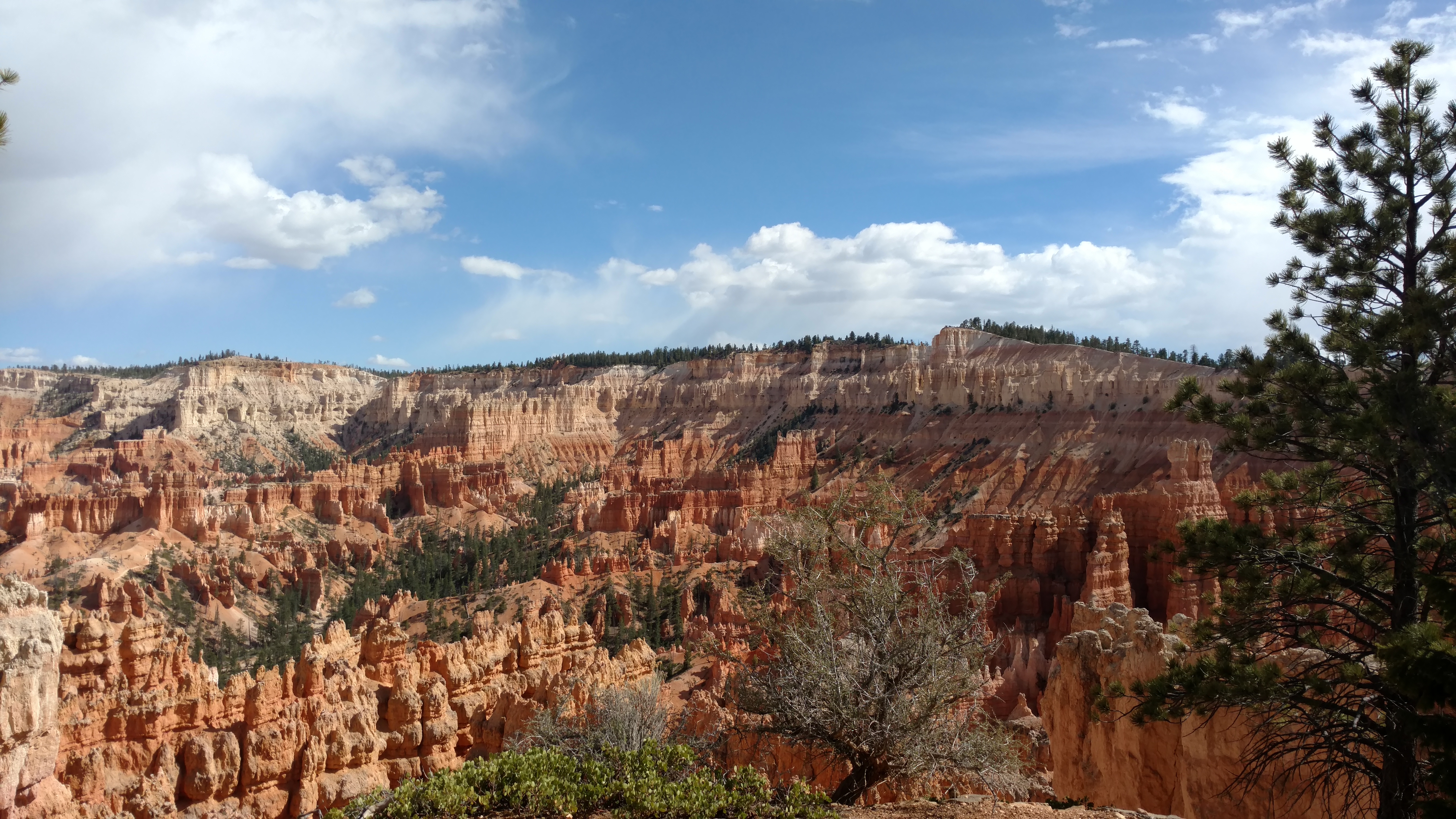 Image of the Bryce Amphitheatre