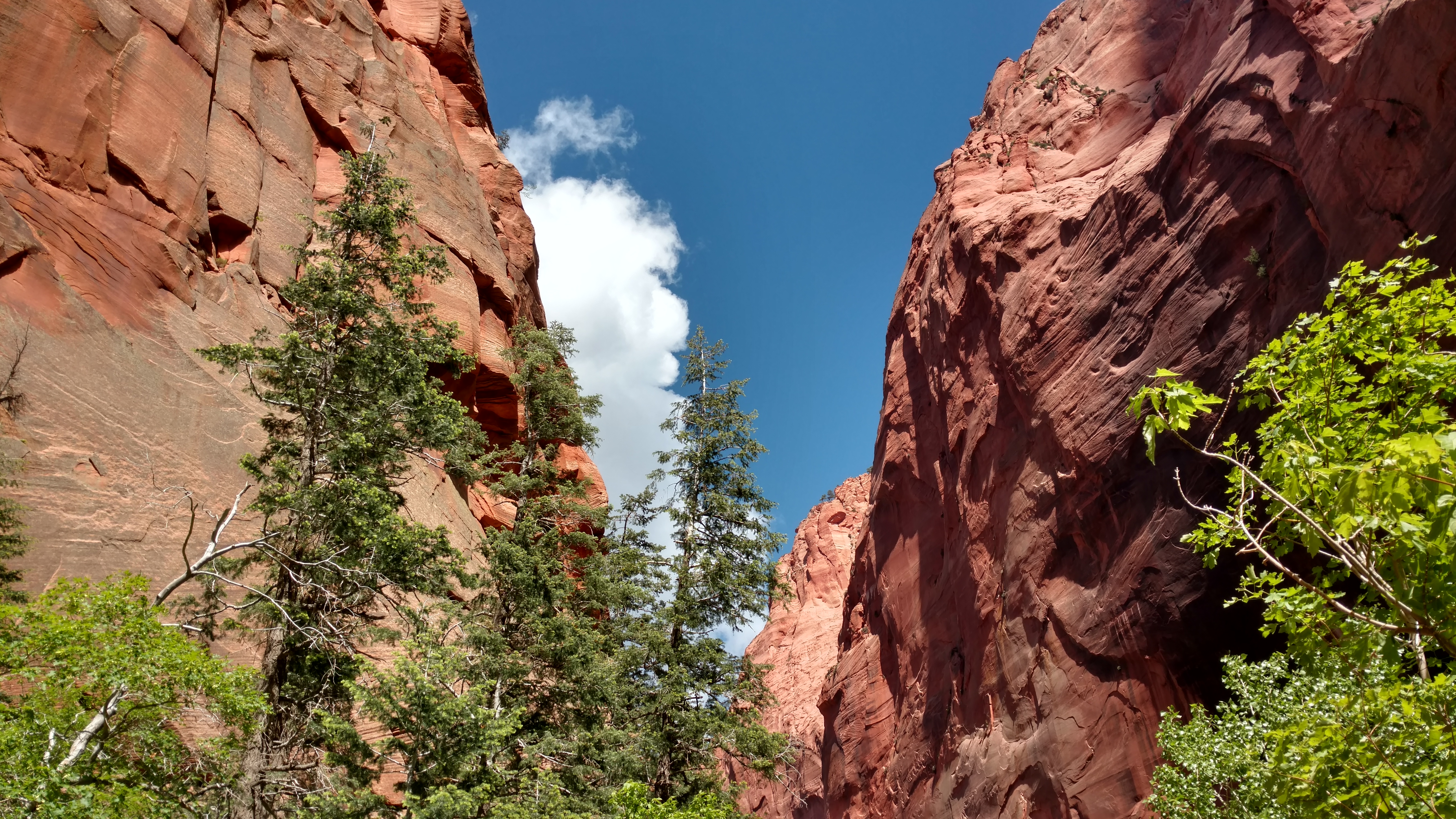 Image of Kolob Canyon View from Top