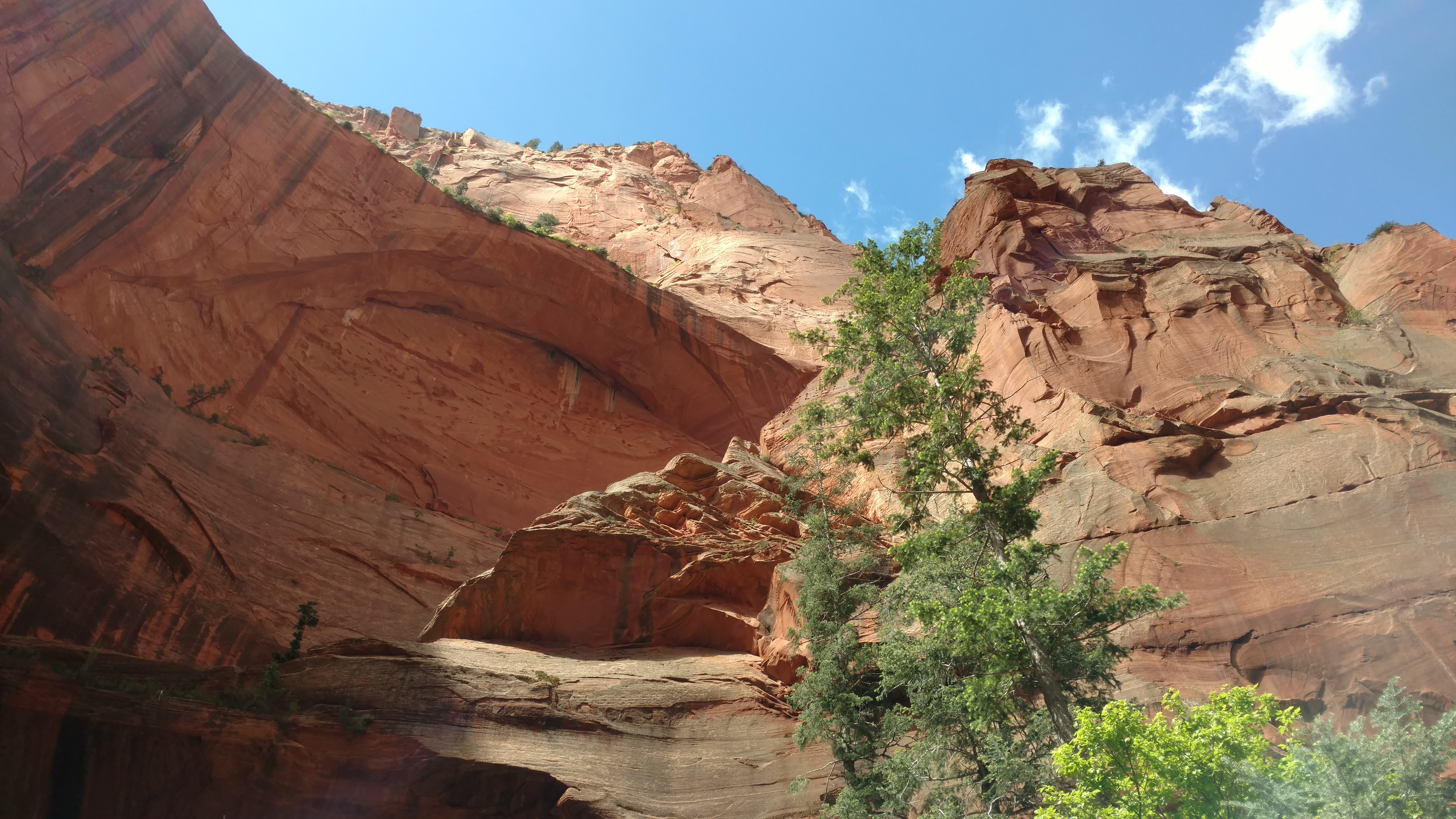 Image of Kolob Canyon Hollow